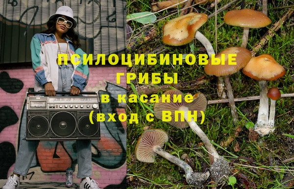 гидропоника Магас