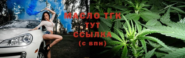 индика Майский